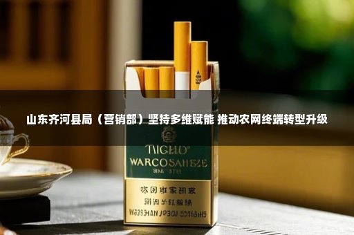 山东齐河县局（营销部）坚持多维赋能 推动农网终端转型升级